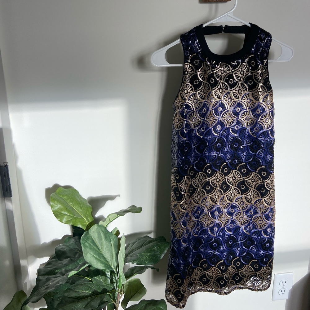 Francesca’s collections size XS sequin dress